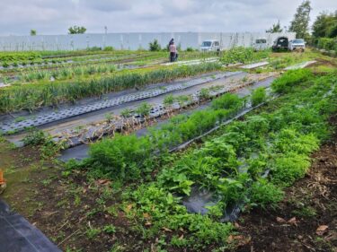 【新規回収拠点】神奈川県鎌倉市に新しいコンポスト堆肥の回収拠点ができました